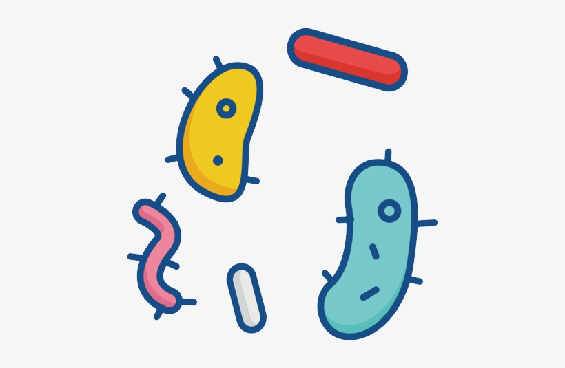 Detail Bacteria No Background Nomer 30