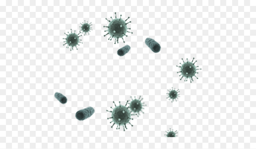 Detail Bacteria No Background Nomer 32