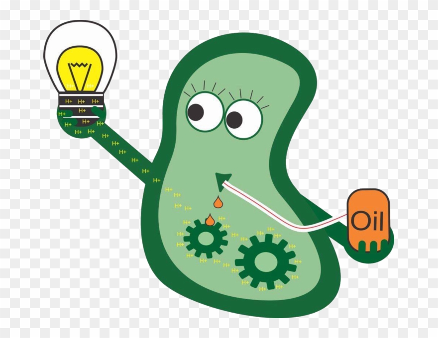 Detail Bacteria No Background Nomer 41