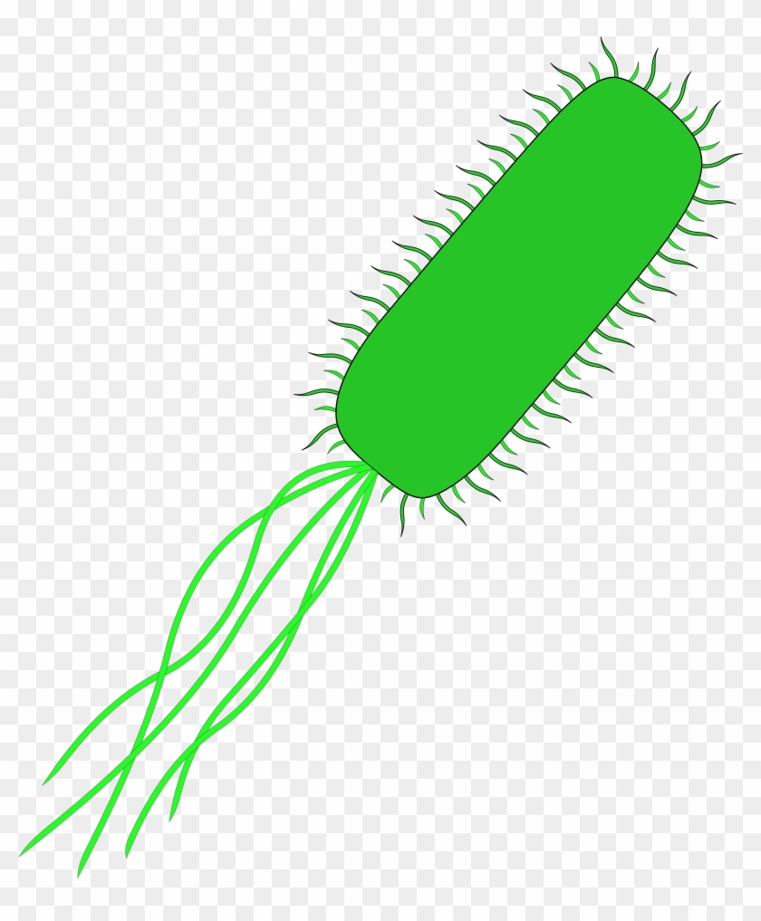 Detail Bacteria No Background Nomer 10