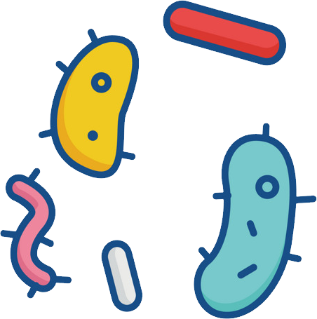Bacteria Png - KibrisPDR