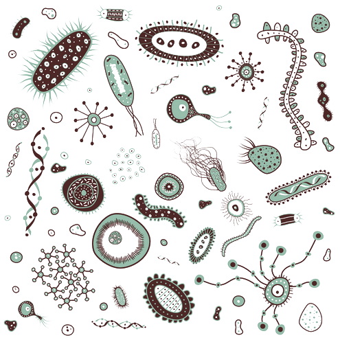 Detail Bacteria Png Nomer 17