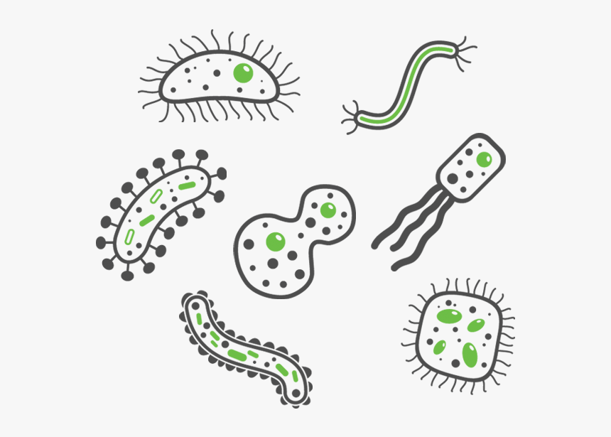 detail-bacteria-png-koleksi-nomer-4