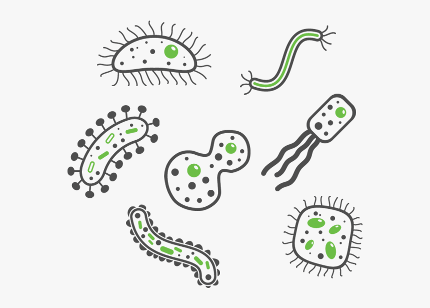 Detail Bacteria Png Nomer 4