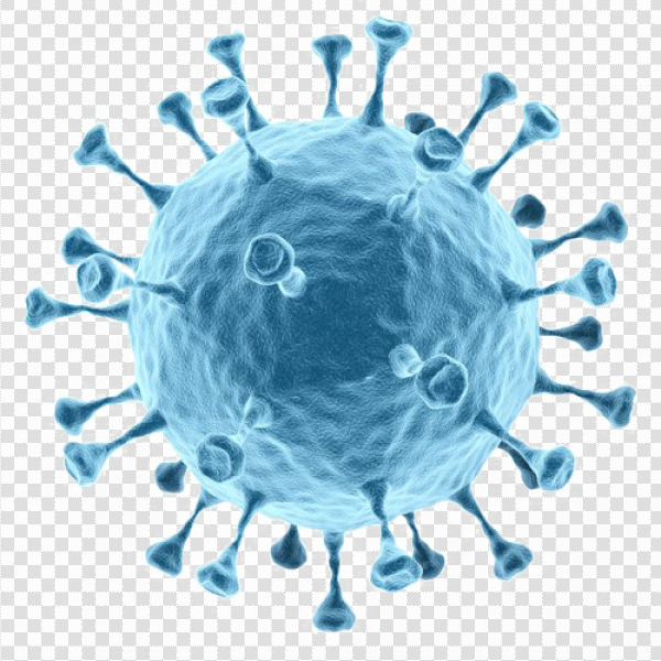 Detail Bacteria Transparent Background Nomer 12