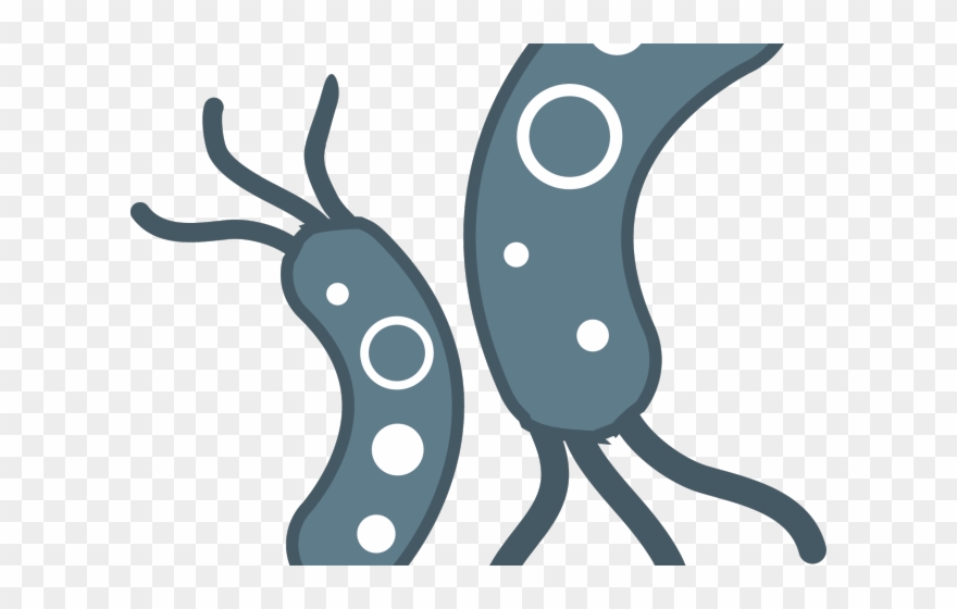 Detail Bacteria Transparent Background Nomer 18