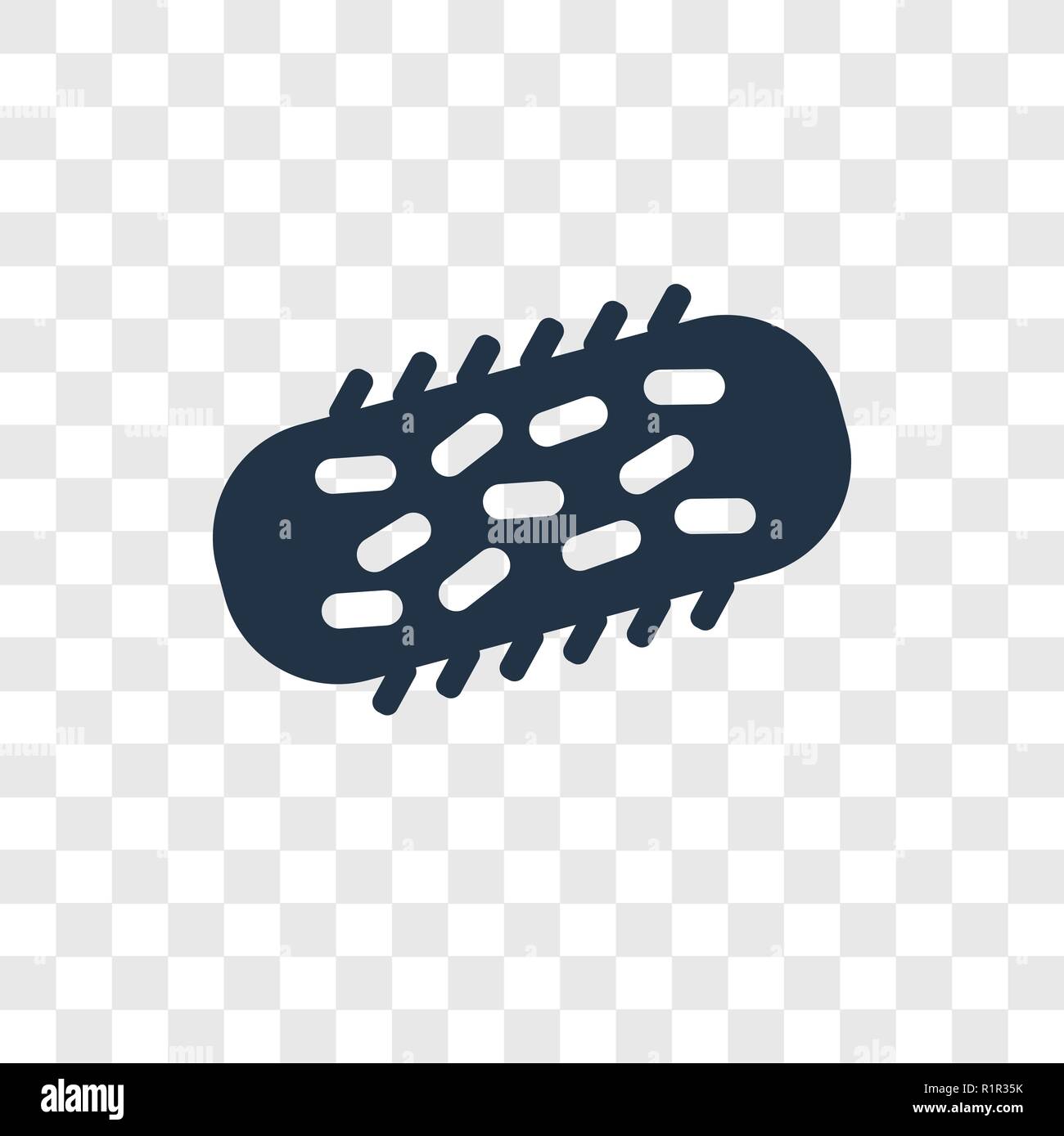 Detail Bacteria Transparent Background Nomer 19