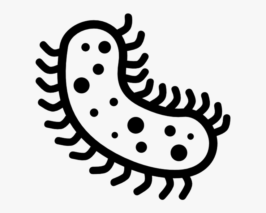 Detail Bacteria Transparent Background Nomer 3