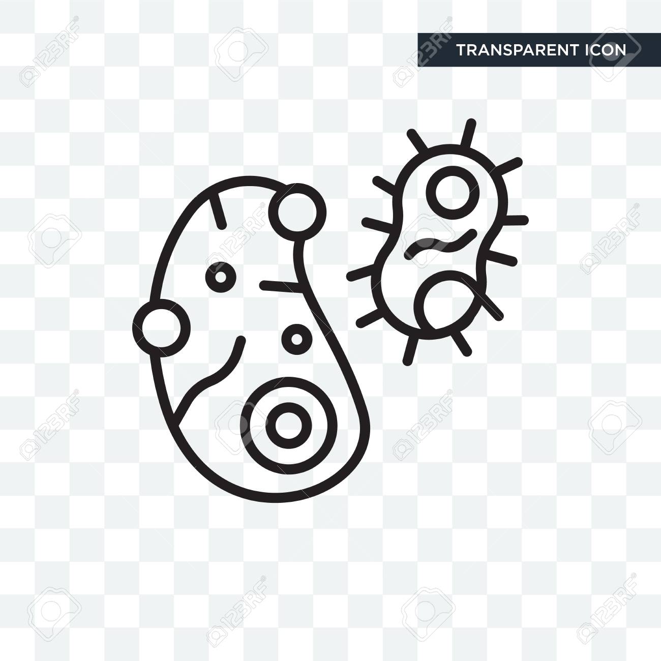 Detail Bacteria Transparent Background Nomer 20