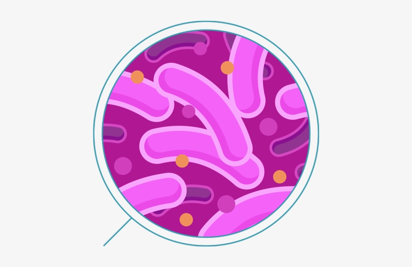Detail Bacteria Transparent Background Nomer 23