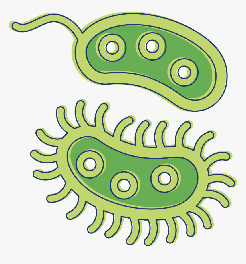 Detail Bacteria Transparent Background Nomer 4