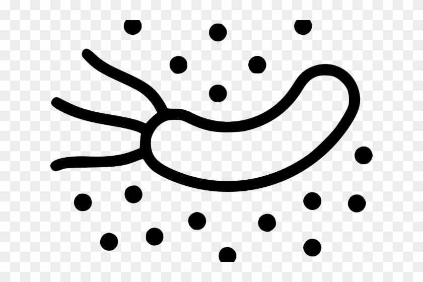 Detail Bacteria Transparent Background Nomer 28