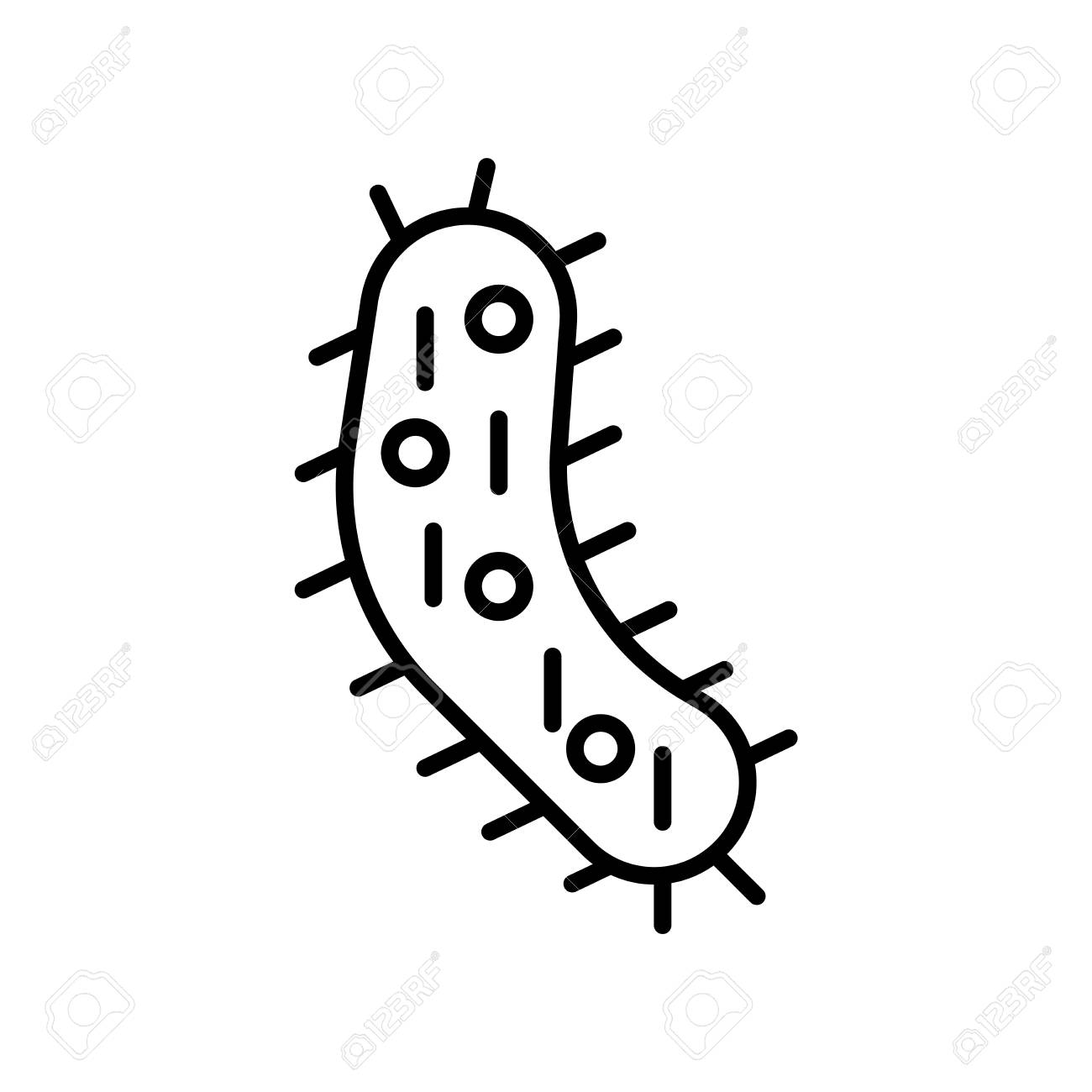 Detail Bacteria Transparent Background Nomer 42