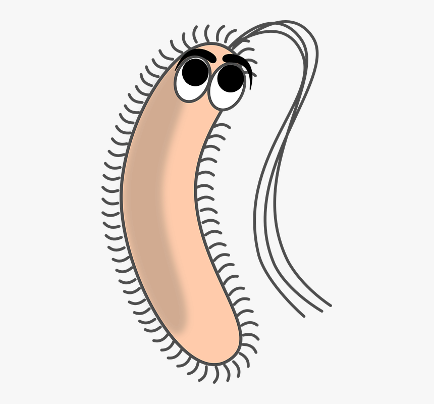 Detail Bacteria Transparent Background Nomer 43