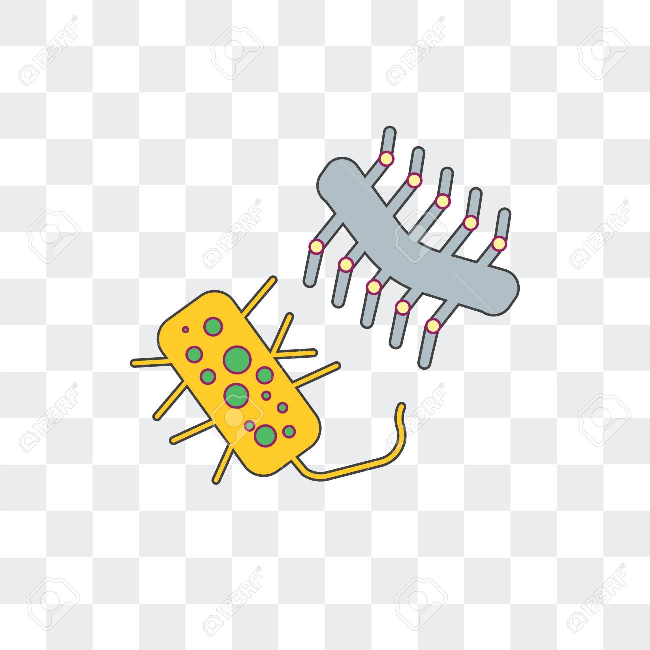 Detail Bacteria Transparent Background Nomer 45