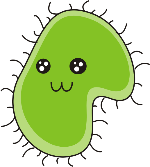 Detail Bacteria Transparent Background Nomer 48