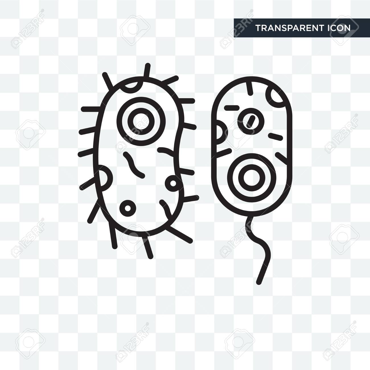 Detail Bacteria Transparent Background Nomer 52