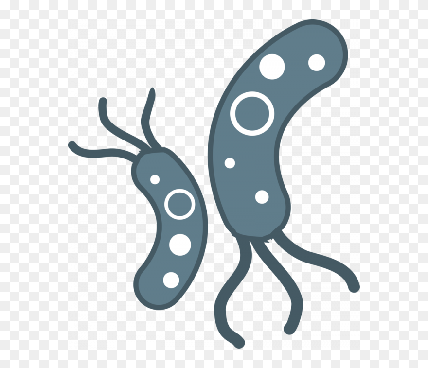Detail Bacteria Transparent Background Nomer 7