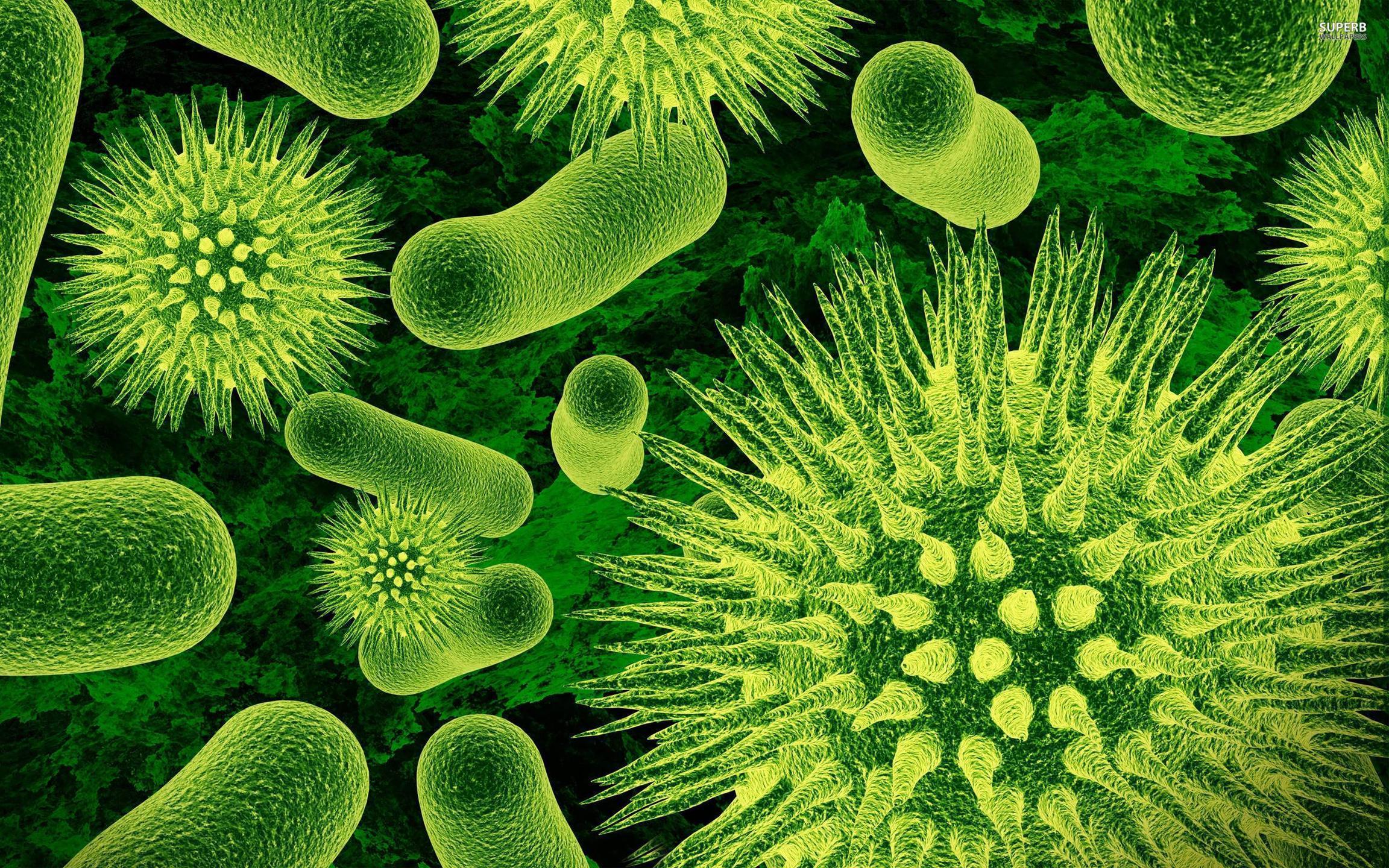 Detail Bacteria Wallpaper Nomer 2