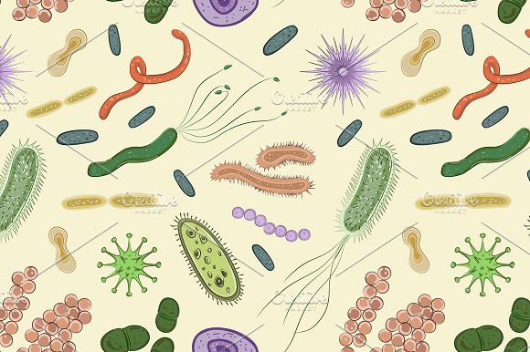 Detail Bacteria Wallpaper Nomer 18