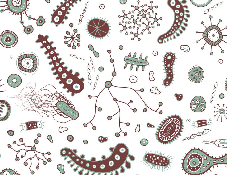 Detail Bacteria Wallpaper Nomer 27