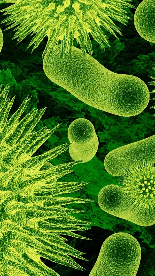 Detail Bacteria Wallpaper Nomer 38