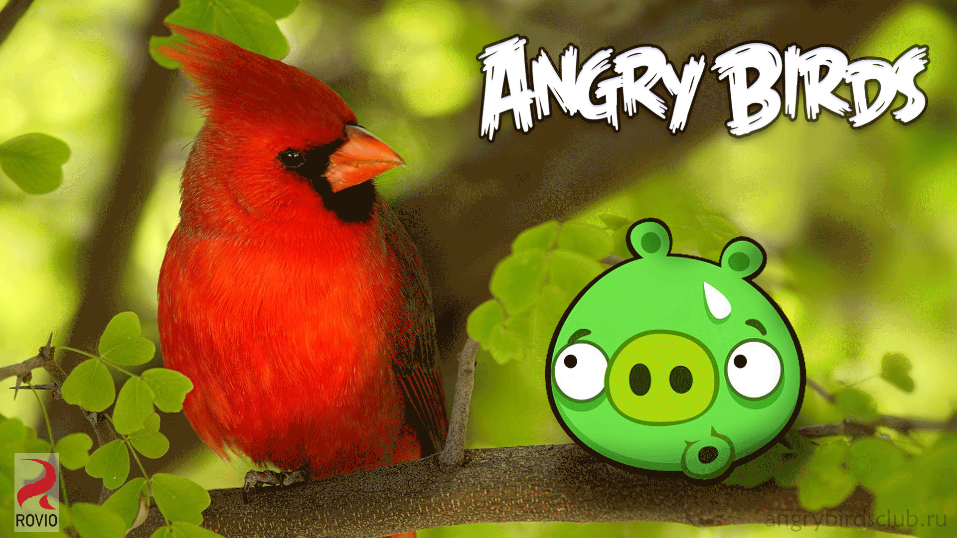 Detail Bad Piggies Wallpaper Nomer 11