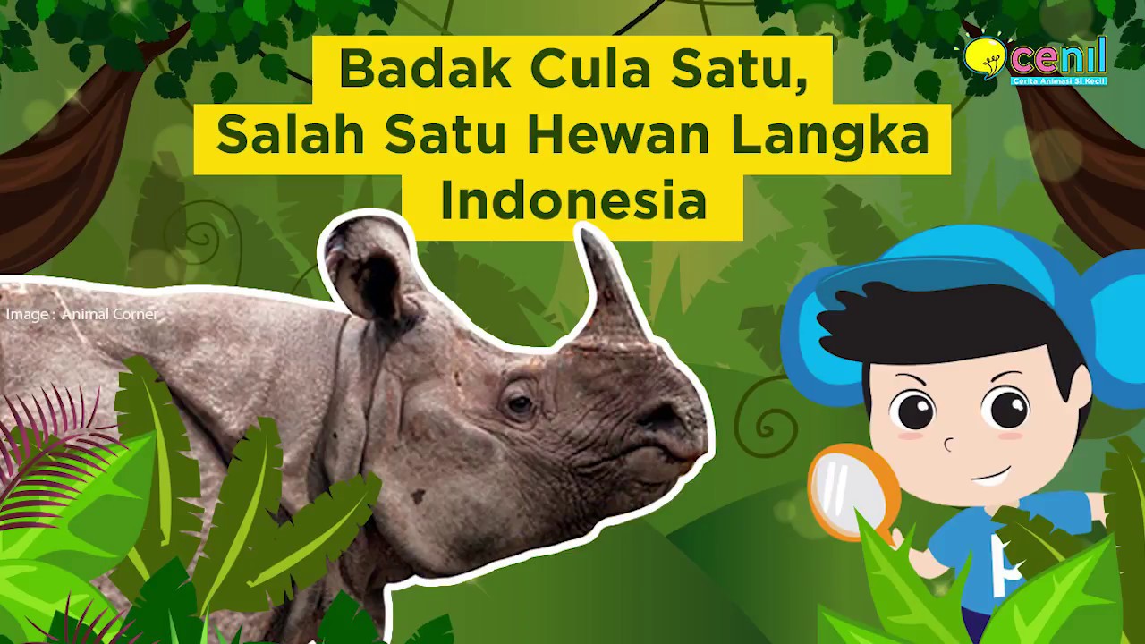 Detail Badak Bercula Satu Animasi Nomer 29
