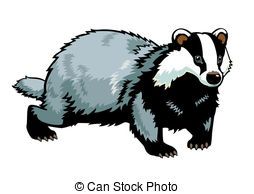 Badger Clipart - KibrisPDR