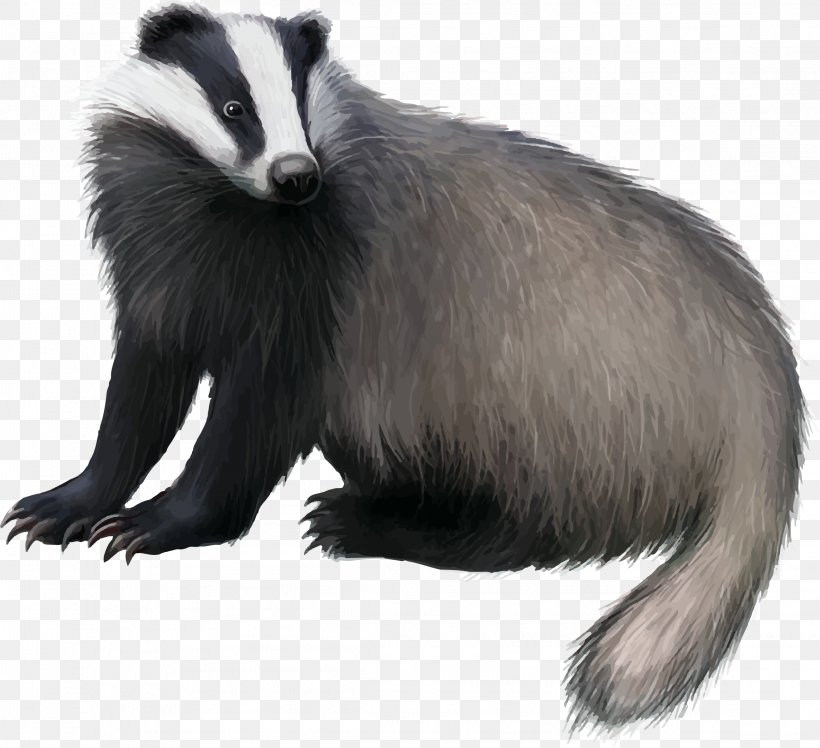 Detail Badger Clipart Nomer 11