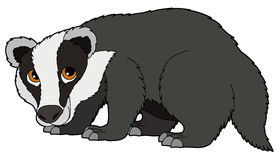 Detail Badger Clipart Nomer 14