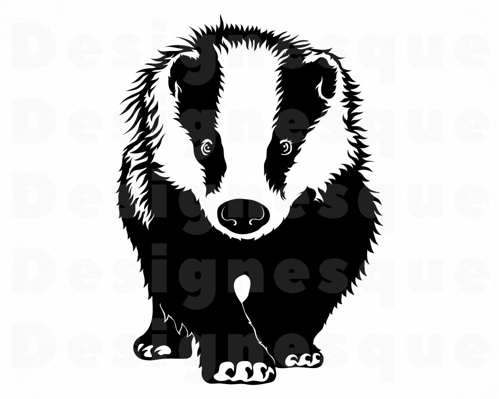 Detail Badger Clipart Nomer 16