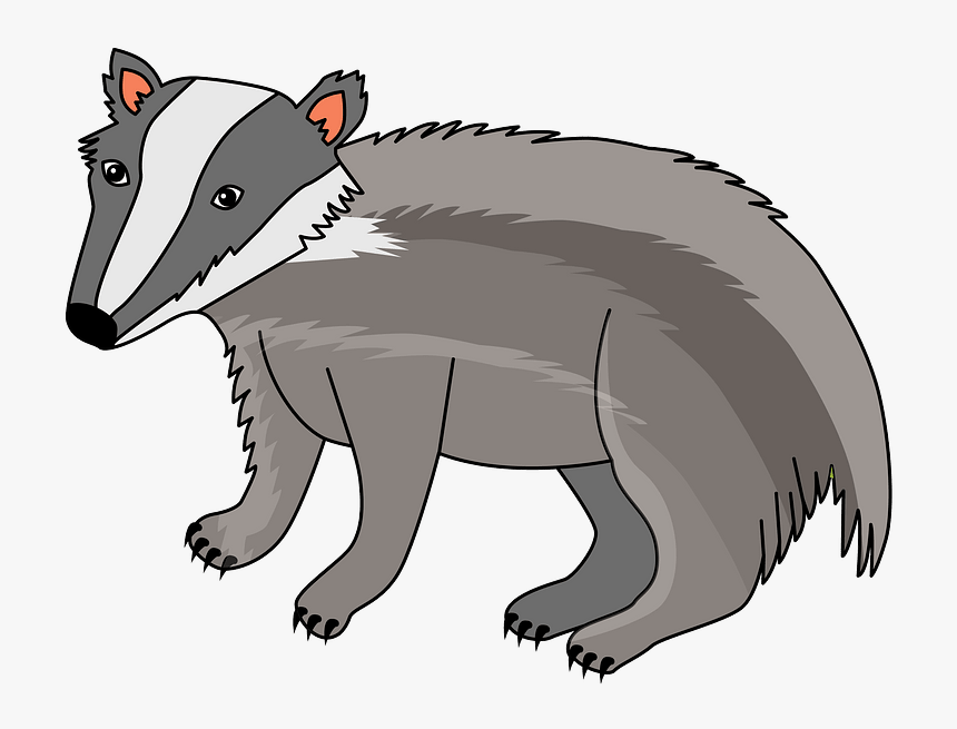 Detail Badger Clipart Nomer 27