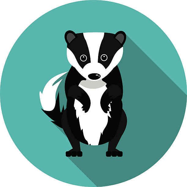 Detail Badger Clipart Nomer 9