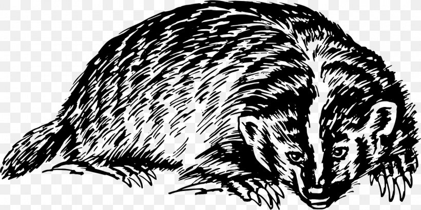 Detail Badger Clipart Black And White Nomer 13