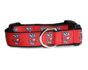 Detail Badger Dog Collar Nomer 13