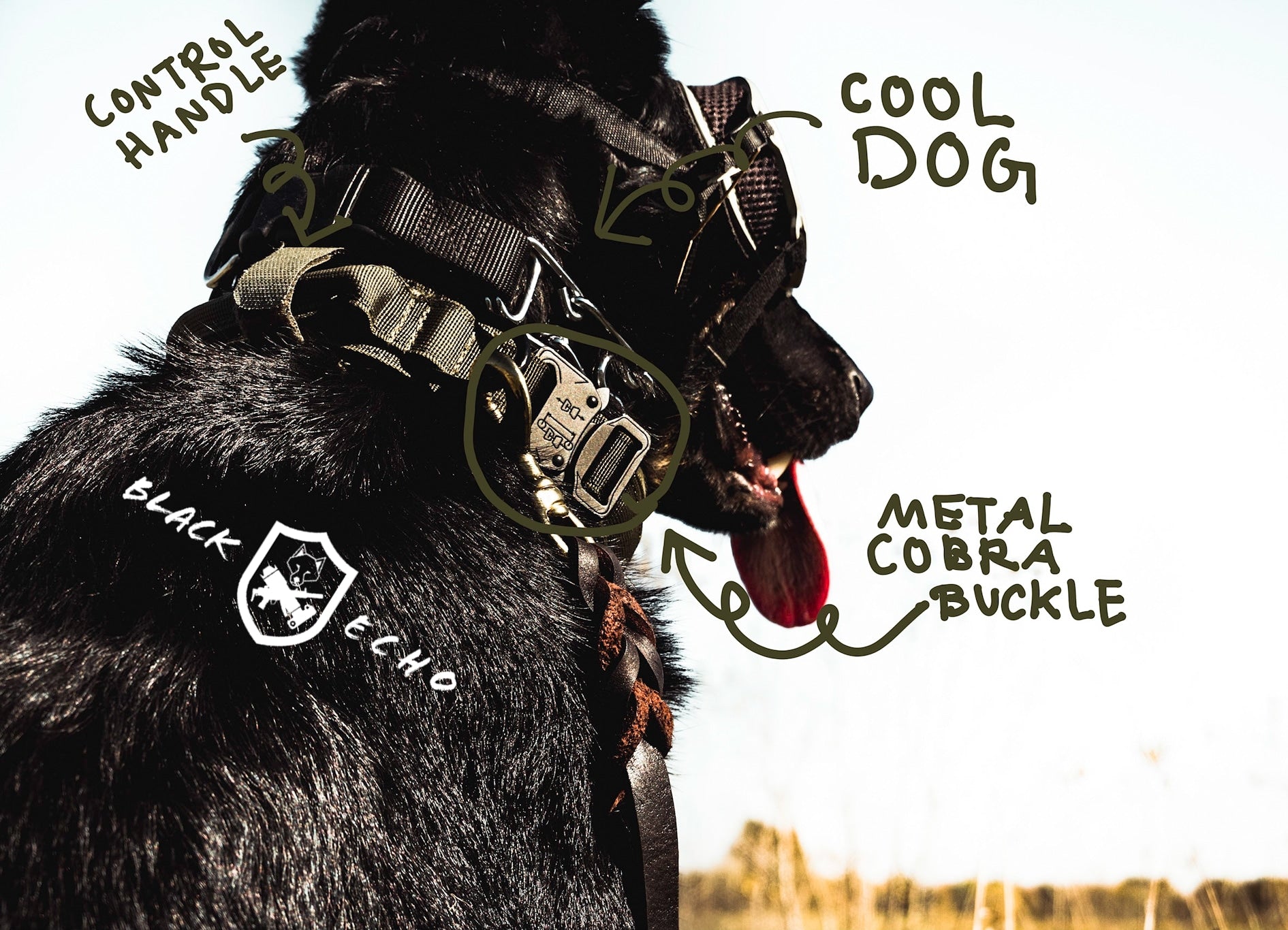 Detail Badger Dog Collar Nomer 29