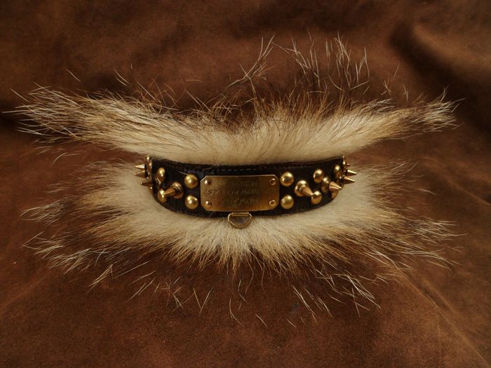 Detail Badger Dog Collar Nomer 41
