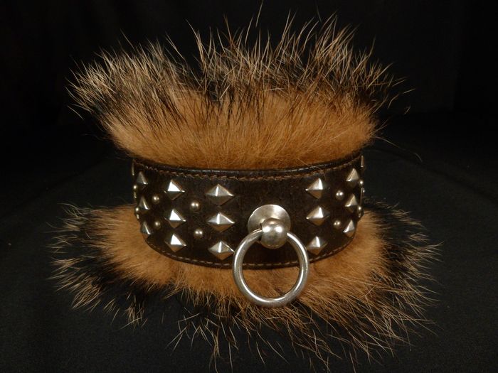 Detail Badger Dog Collar Nomer 44