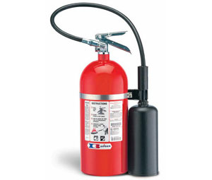 Detail Badger Extinguisher Nomer 20