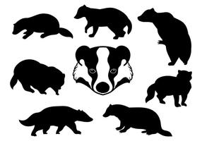 Detail Badger Images Free Nomer 18