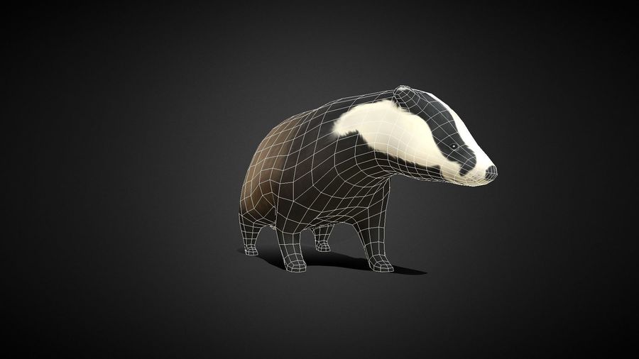 Detail Badger Images Free Nomer 32