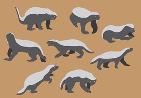 Detail Badger Images Free Nomer 36