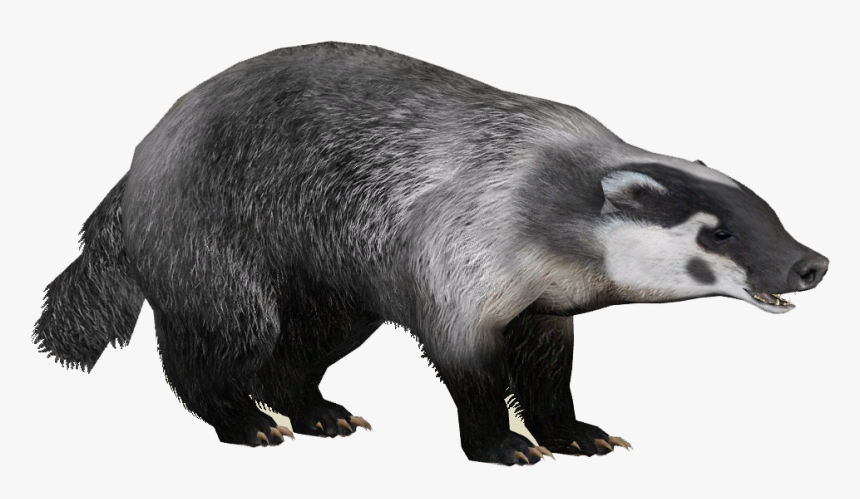 Detail Badger Images Free Nomer 51