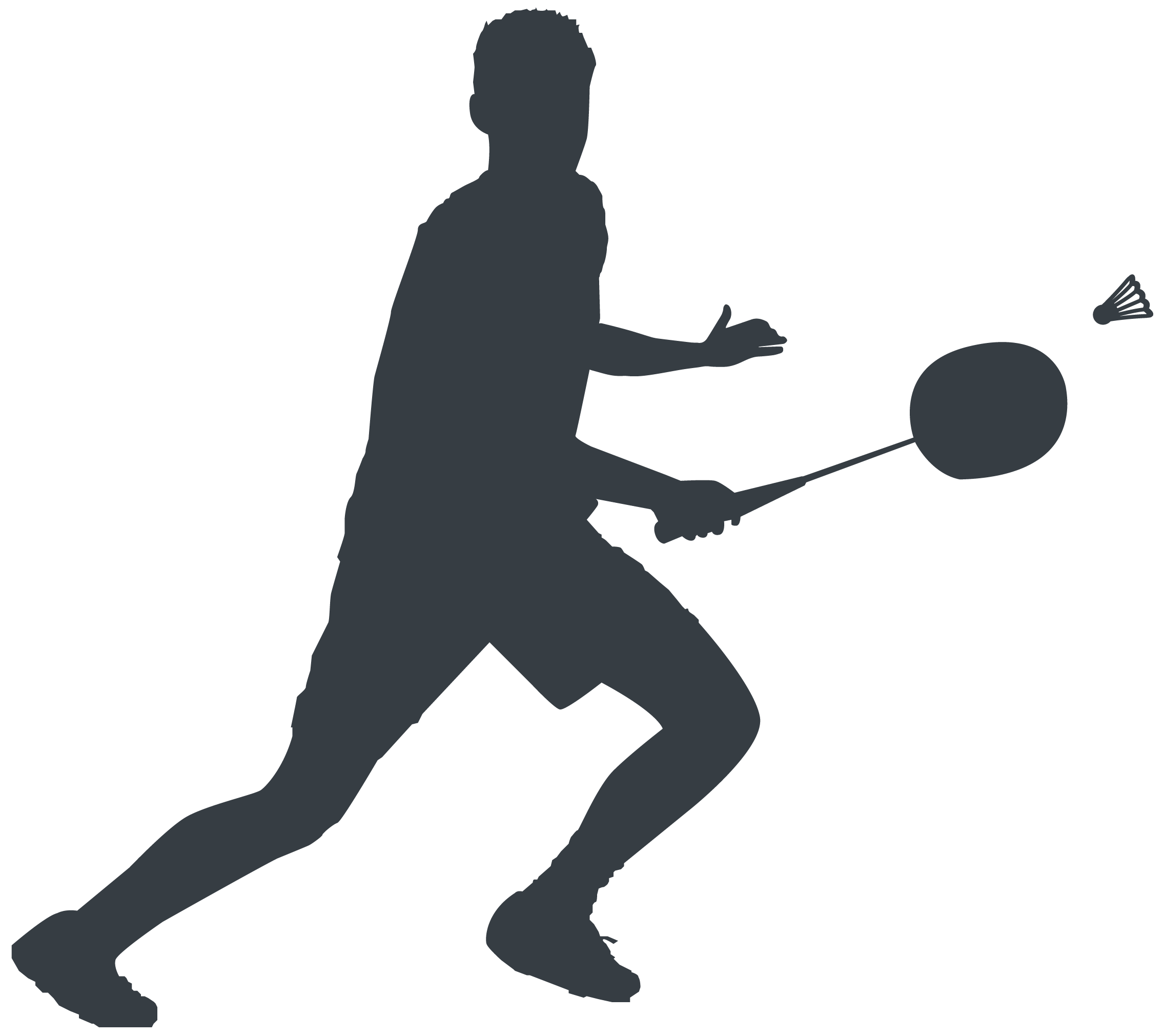 Detail Badminton Image Nomer 28