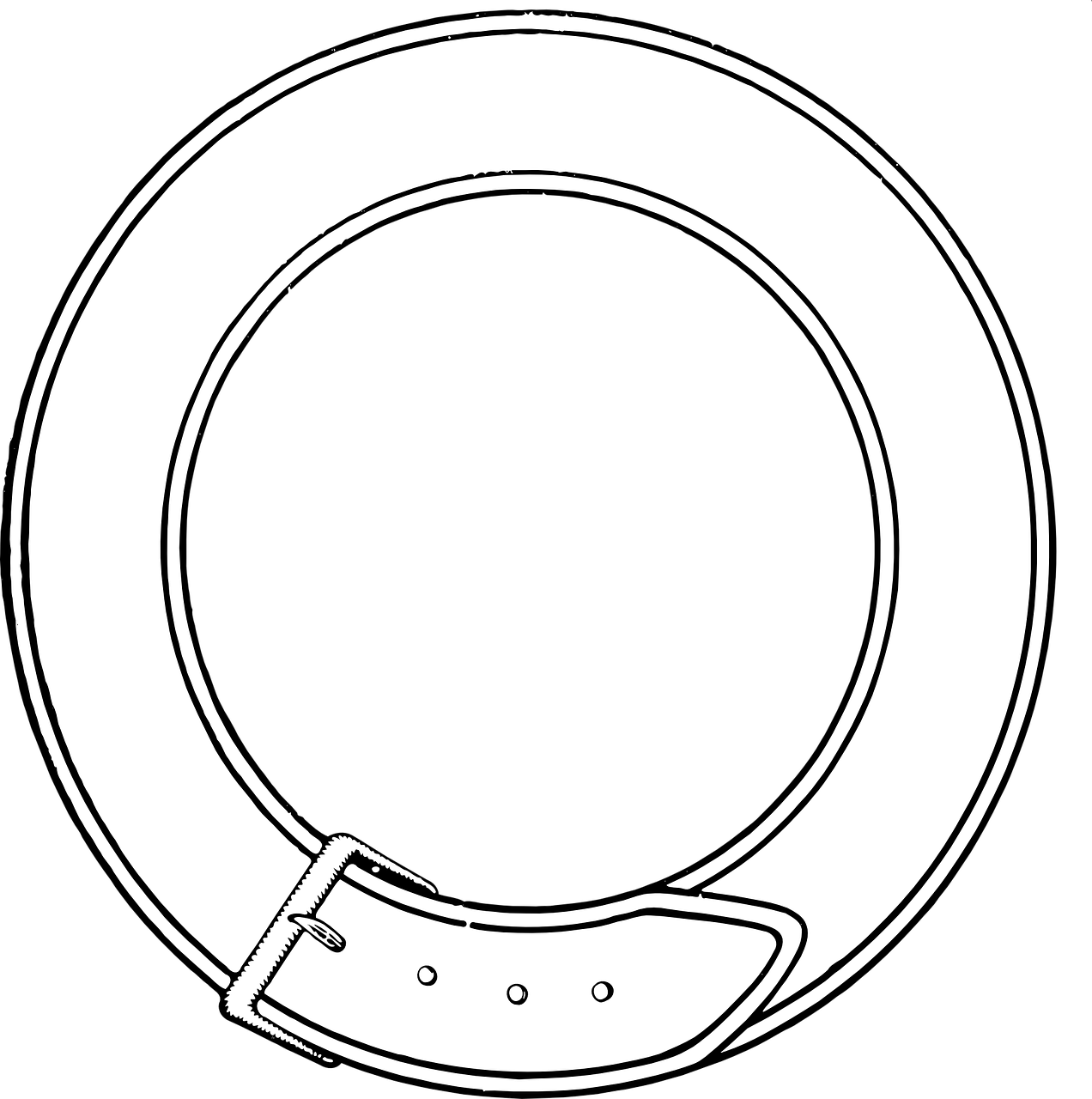 Detail Buckle Vector Nomer 16