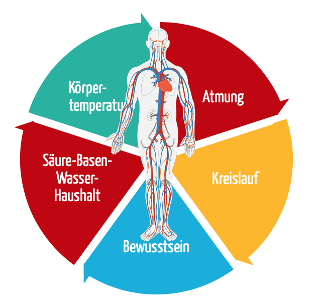 Vitalzeichen Definition - KibrisPDR