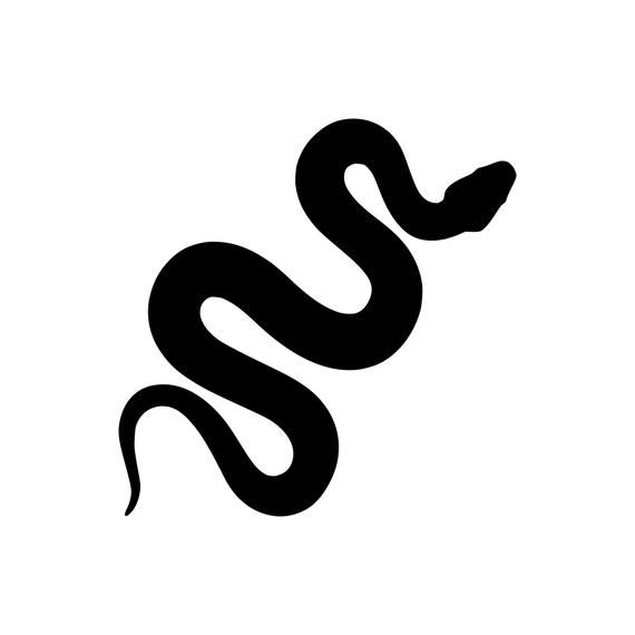 Detail White Boa Snake Nomer 11