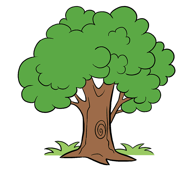 Detail Baum Illustrator Nomer 14