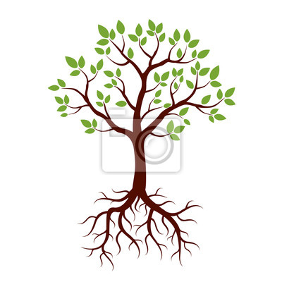 Detail Baum Illustrator Nomer 6